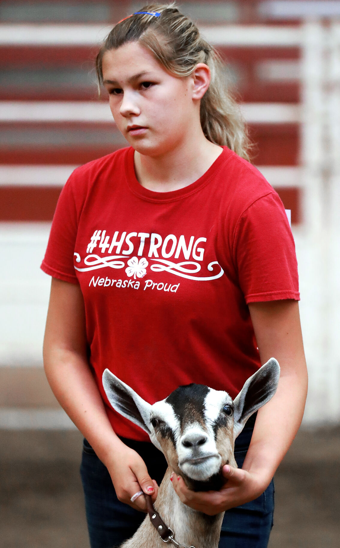 072420_HCFGoatShow002_bjs.JPG